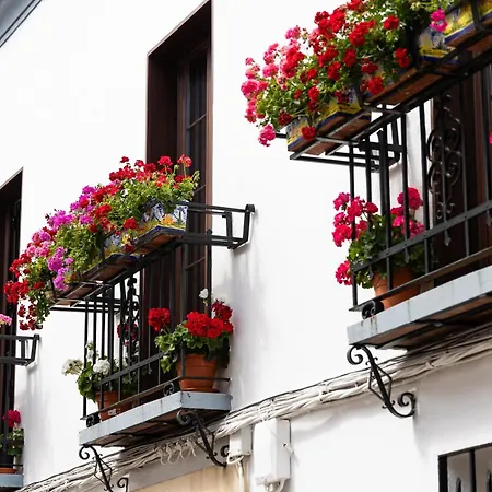 La Casita De Salma